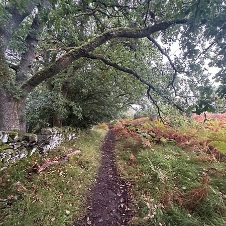 Red Squirrel Cottage Strathtay Luaran gambar