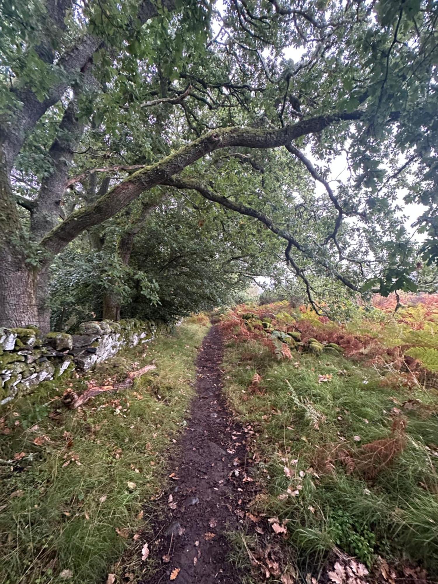 Red Squirrel Cottage Strathtay Luaran gambar
